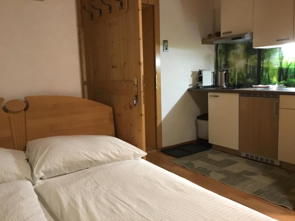 Ferienwohnungen Aigner Haus im Ennstal Exteriör bild