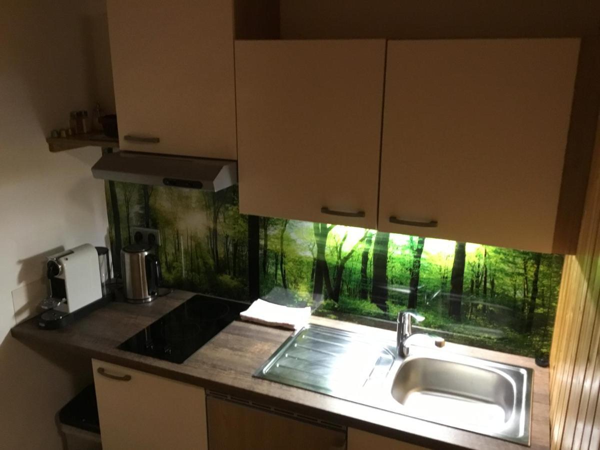 Ferienwohnungen Aigner Haus im Ennstal Exteriör bild